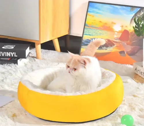 Köpek Yatakları Yastık