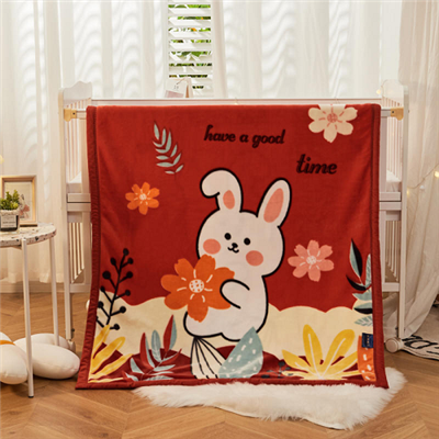 Çift Kat Raşel Bebek Battaniyesi