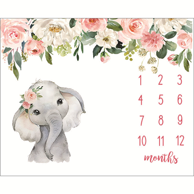 Milestone Battaniye Hediye Seti